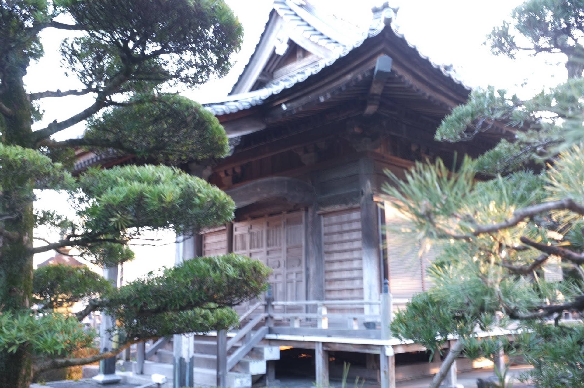成道寺 お堂と庭