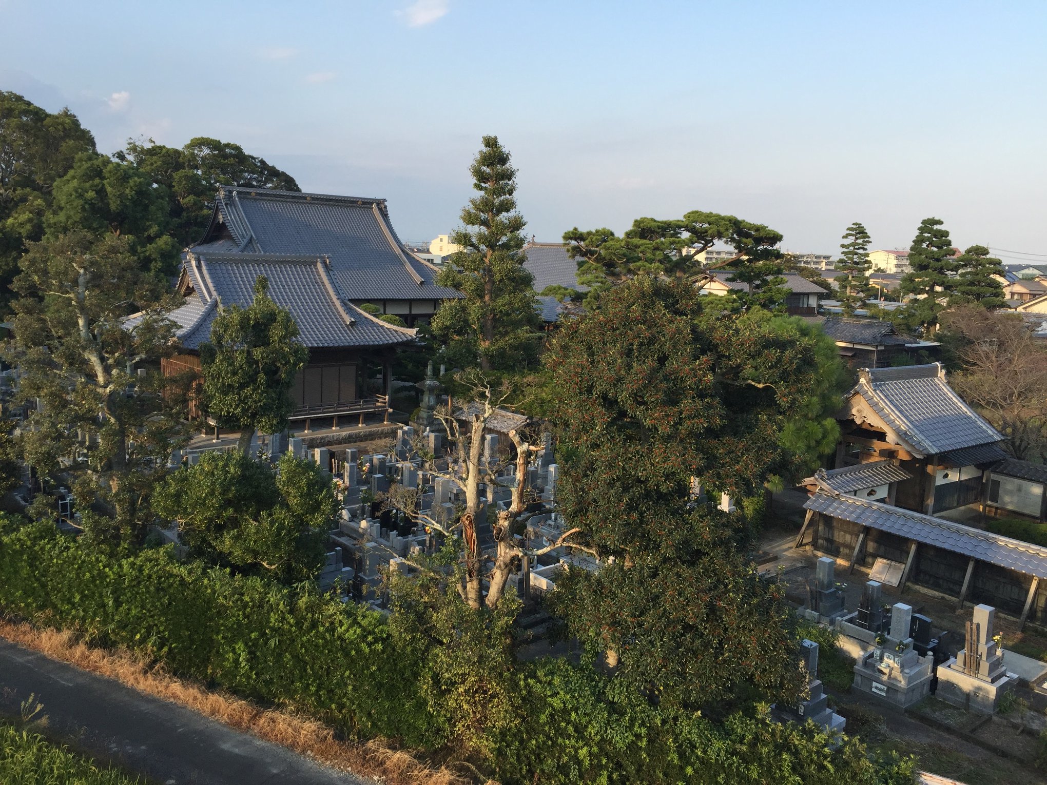 成道寺 本堂と墓地の全景
